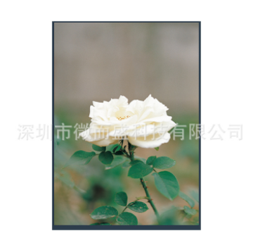 LCD液晶屏出現(xiàn)閃屏怎么解決？